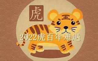 虎年几月出生最好(虎年几月出生最好命)