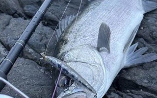 2020年4月26日黄历(2021年4月26日黄历吉日)