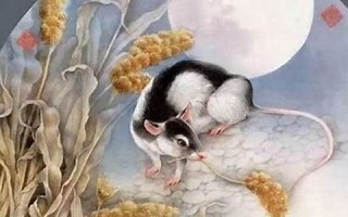 属鼠(属鼠人2025年全年运势运程)