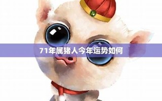 属猪人2013年运势(猪2013年运势完整版)
