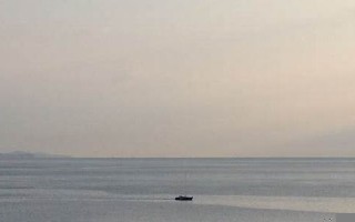 2013年8月26日(2013年8月26日出生)