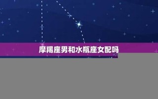 水瓶女和摩羯男(摩羯女和双子男配对指数)