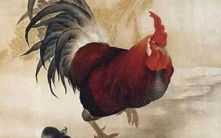 属鸡2022年的运势(属鸡2024年运势)