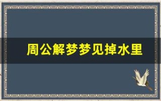周公解梦梦见掉水里(周公解梦梦见掉水里被救起)