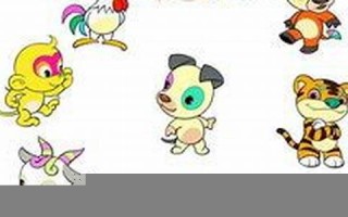 2019年属什么生肖(2025年属什么生肖)