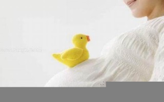 梦见怀孕(孩子在肚子里动)