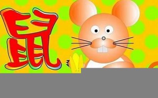 属鼠几月出生最好(属鼠几月出生最好命运男孩)