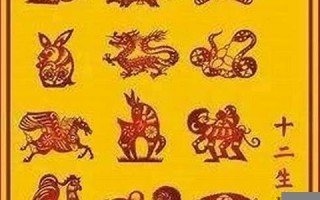 88年属什么生肖(96年属什么生肖)