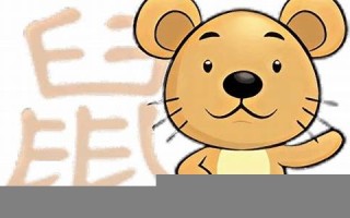 属鼠的人今日运势-360星座网(个人运势测算)