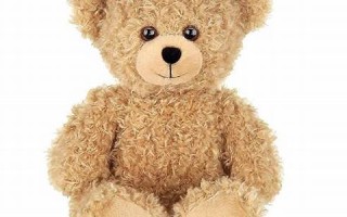 11.19(11.19日是什么日子)