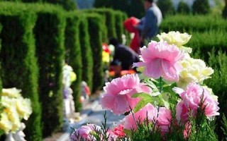 梦见死去的亲人(梦见死去的亲人是什么预兆)