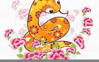 1977年属蛇人的命运(1977年属蛇人的命运分析)