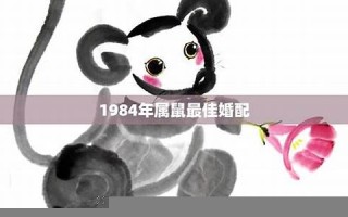 1984年属鼠2021年运势及运程(1984年属鼠人2021年全年运势详解)