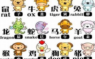 12生肖鼠年运程(2020运程十二生肖鼠运程)