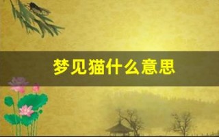 梦见猫什么意思(女人梦见猫什么意思)
