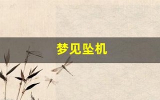 梦见坠机(梦见坠机是什么预兆) 梦见坠机(梦见坠机是什么预兆)