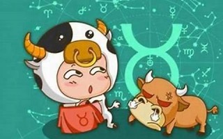 金牛座老公(金牛座老公真的要离婚的表现)