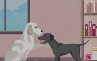 梦到狗(梦到狗狗是什么寓意)