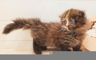 10月30日(10月30日到今天多少天了)