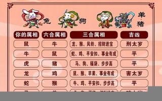 十二生肖的配对(十二生肖的配对与运势)