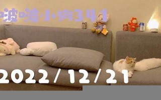 12月21(12月21日什么星座)