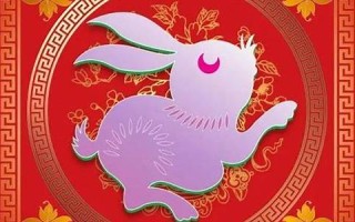 2013年属兔人的运程(13年的兔是什么命)