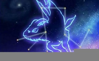 摩羯(摩羯座最佳配对第一名)