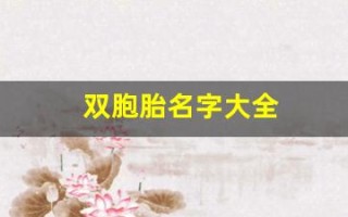 双胞胎名字大全(双胞胎名字大全女孩)