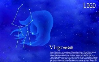 处女座男(处女座男和狮子座女合适吗)