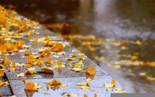 九月廿六(九月廿六是哪位神仙生辰)