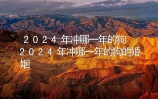 2024年冲哪一年的狗(2024年冲哪一年的狗怎么化解)