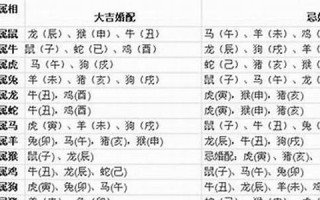 狗的朋友是什么生肖(狗的朋友是什么生肖六牙象)