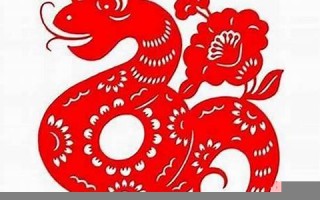 属蛇今年的运程(属蛇今年的运程如何)