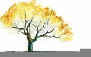 属蛇人2021年全年运势(属蛇人2021年全年运势运程女性)