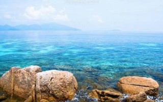 梦见大海(梦见大海波涛汹涌)