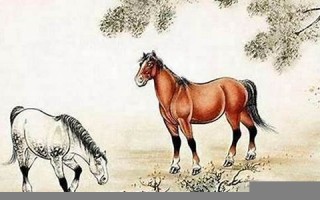 属马的和什么属相最配(属猪男和属马的女相配吗)