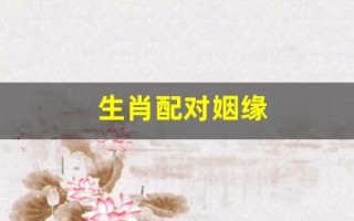 生肖配对姻缘(龙虎生肖配对姻缘)