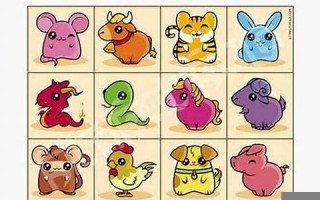 2000年属什么生肖(2000年属什么生肖配对最好)