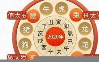 虎年运势2022年运势12生肖运势(虎年运势2022年运势如何)