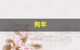 狗年(狗年今年多少岁) 狗年(狗年今年多少岁)