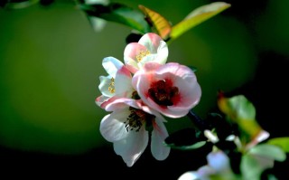 2017年3月8日(2017年3月8日出生的人什么命)