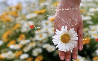 12月20号(12月20日是多少)