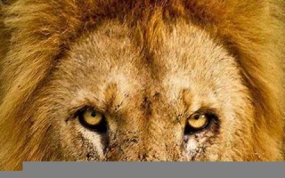 2012.12.12(2012.12.12出生)