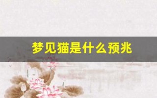 梦见猫是什么预兆(梦见猫是什么预兆好不好)