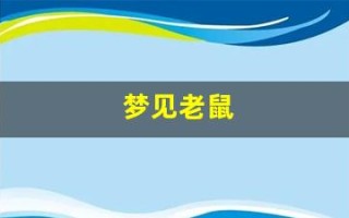 梦见老鼠(梦见老鼠被我打死了是什么征兆)