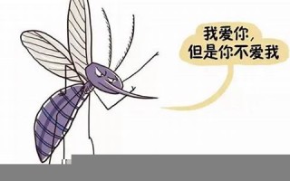 梦到蚊子(梦到蚊子咬我是什么预兆)
