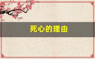 死心的理由(死心的理由歌曲)