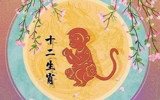 属猴人的婚姻与命运(属猴人的婚姻与命运十二生肖)