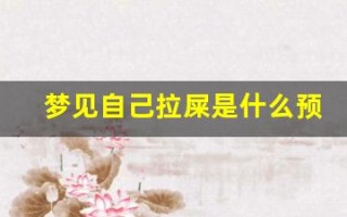 梦见自己拉屎是什么预兆(周公解梦梦见自己拉屎是什么预兆)