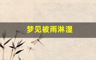 梦见被雨淋湿(梦见被雨淋湿头发)